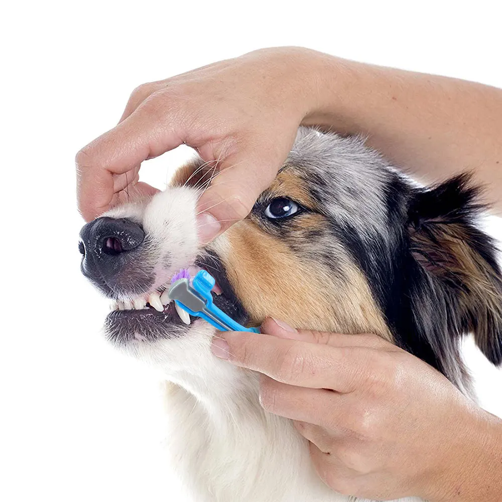 Puppies Gear Maximum Toothbrush