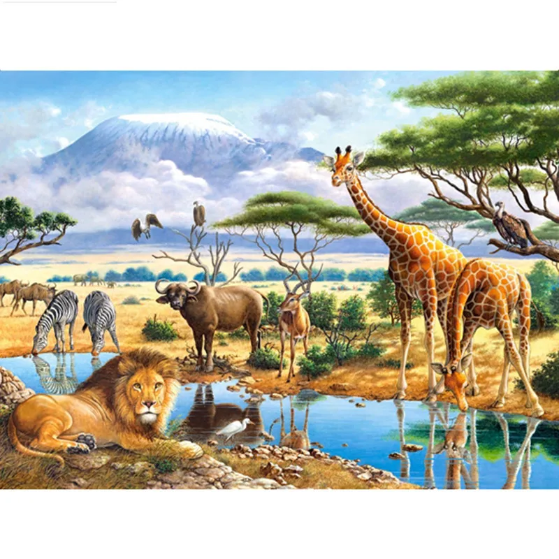 HTB1qZW9bcfrK1Rjy0Fmq6xhEXXaR