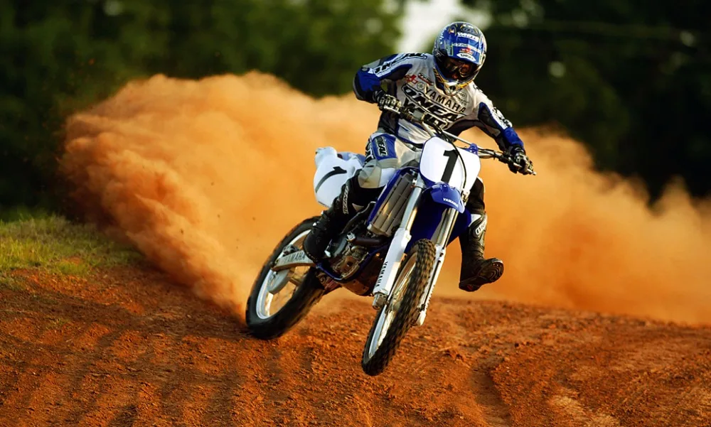 O-Mountain Bike-31(100x60)