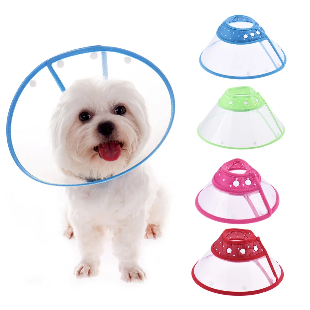 Buy Recovery Pets Cone Collar Dog Pet Elizabethan
