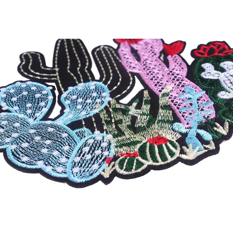 cactus patch (3)