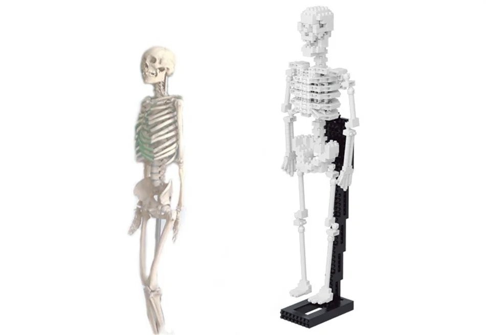 YZ Diamond Blocks Dinosaur Bones skeleton Model 66507-2