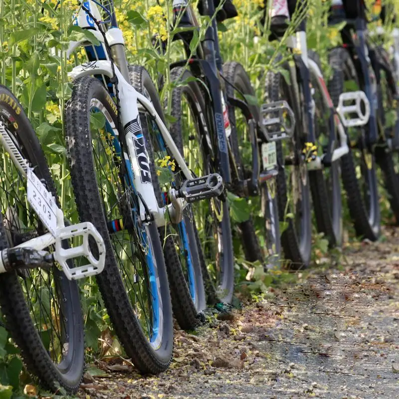 WELLGO MG 3 велосипедная педаль MTB BMX DH 4 цвета оригинал 9/16 дюймов Cr Mo велосипедный