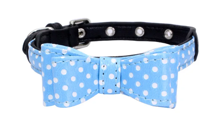 dog collar (2)