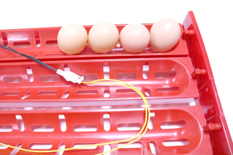 New 32-40 Eggs Incubator Incubator Accessories Turn The Eggs Tray Duck Goose Poultry Birds Motor Of 110V Or 220V Free Shipping New 32-40 Eggs Incubator Incubator Accessories Turn The Eggs Tray Duck Goose Poultry Birds Motor Of 110V Or 220V Free Shipping