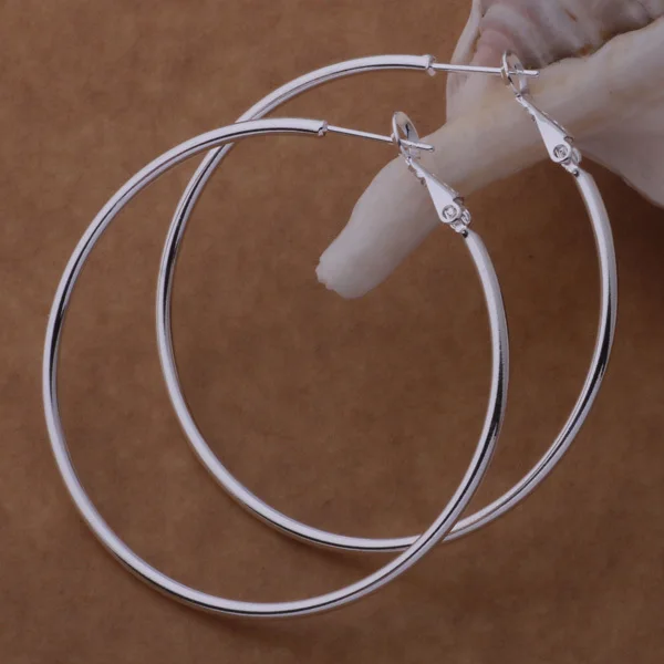 

wholesale High quality silver Fashion jewelry errrings WE-580