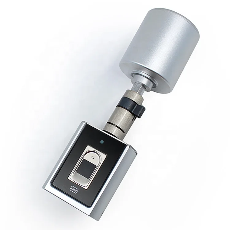 Netherlands 70 80 cylinder lock puller adjustable smart euro mortise fingerprint lock cylinder