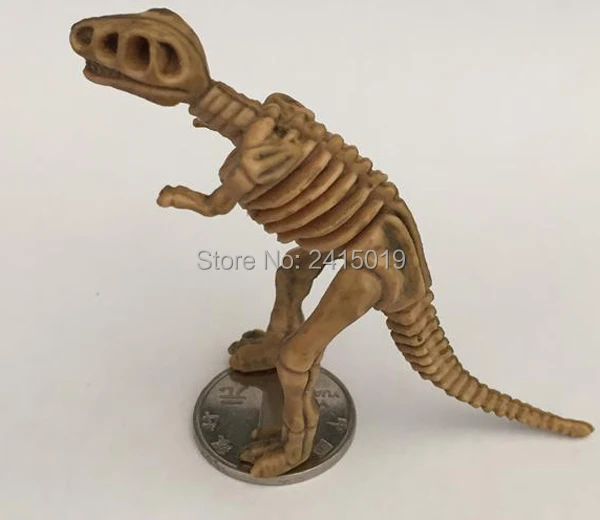 12 Skeleton Dinosaurs -5-1
