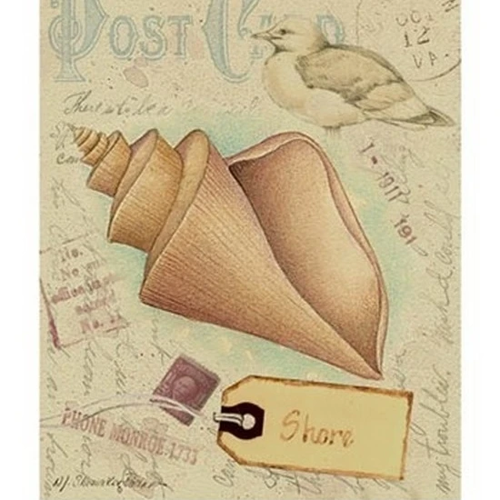 Postcard Shells III Poster Print by Nancy Shumaker (10 x 13)
