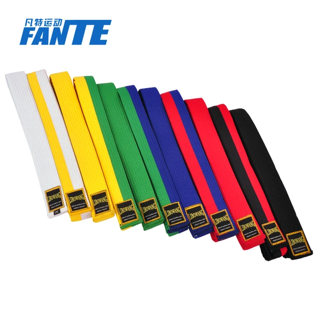 Ten Level Martial Arts Karate Taekwondo Judo Belt Display Holder hand