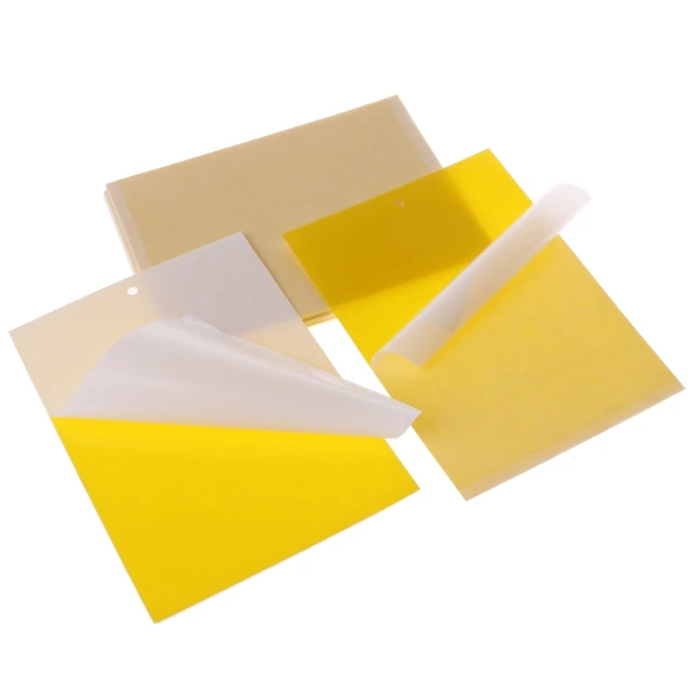 Yellow Sticky Fly Traps 20x15cm Dual-Sided Sticky Traps Fly Paper Stickers  Plant Fly Catchers Catcher Sticky Board - AliExpress