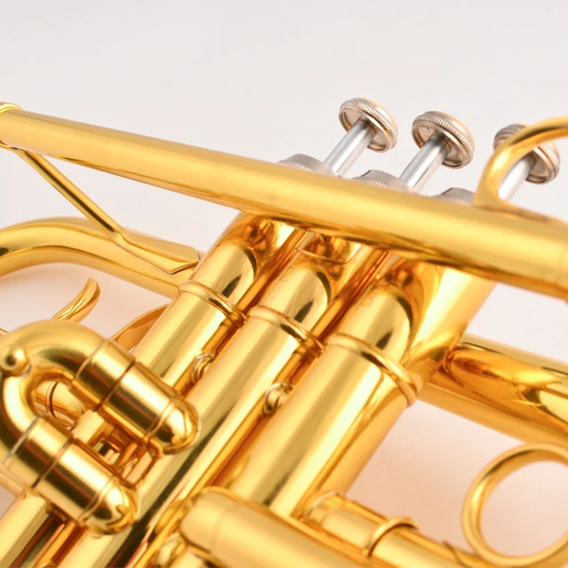 Best price at $145 Cheap Free shipping Trumpet Bb B Flat JYTR-E100G Professional trumpet Brass wind instruments with trumpet case and mouthpiece
