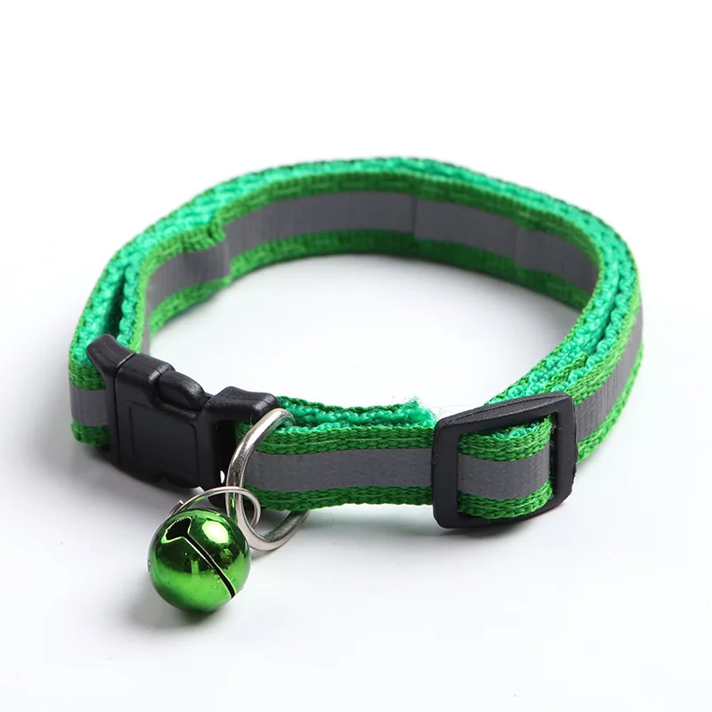 dog collar (3)