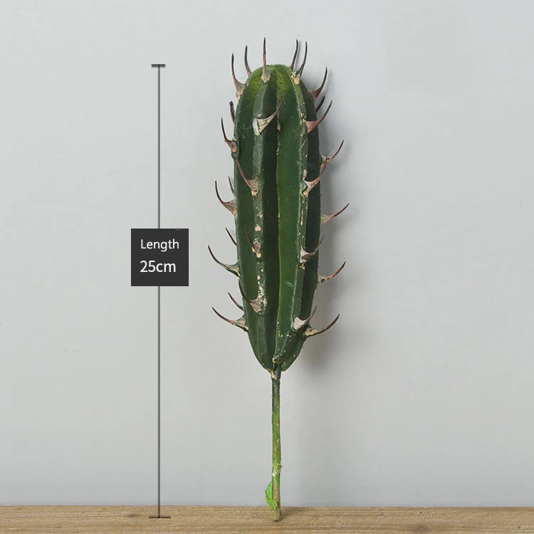 25cm 
