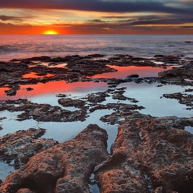 Tidal pools reflect the sunrise colors during the autumn equinox Poster Print (17 x 11)