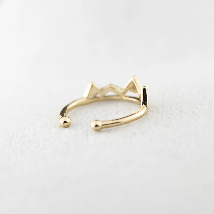 HTB1raYiQFXXXXa1apXXq6xXFXXX1