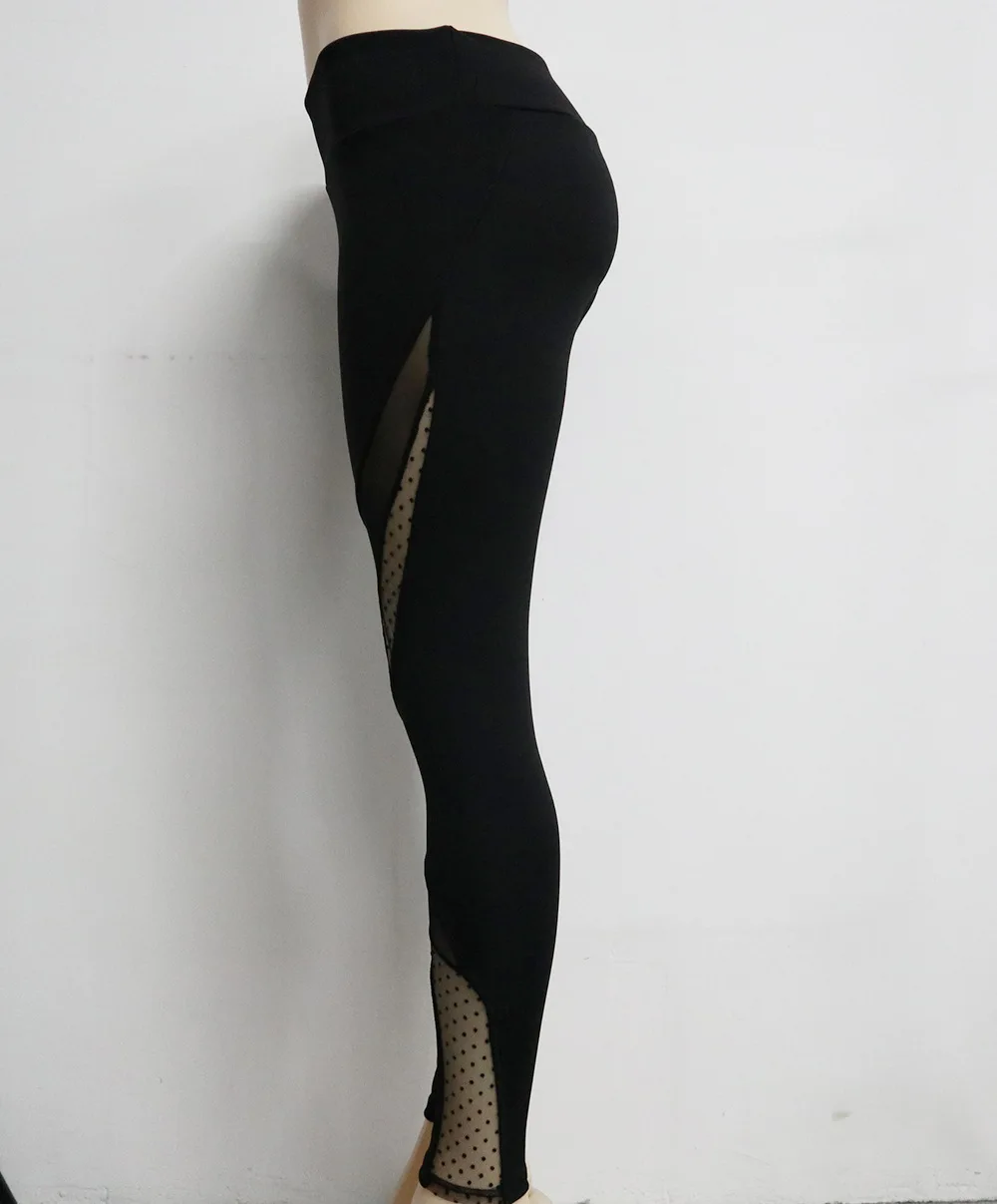 8535419848_1313617421