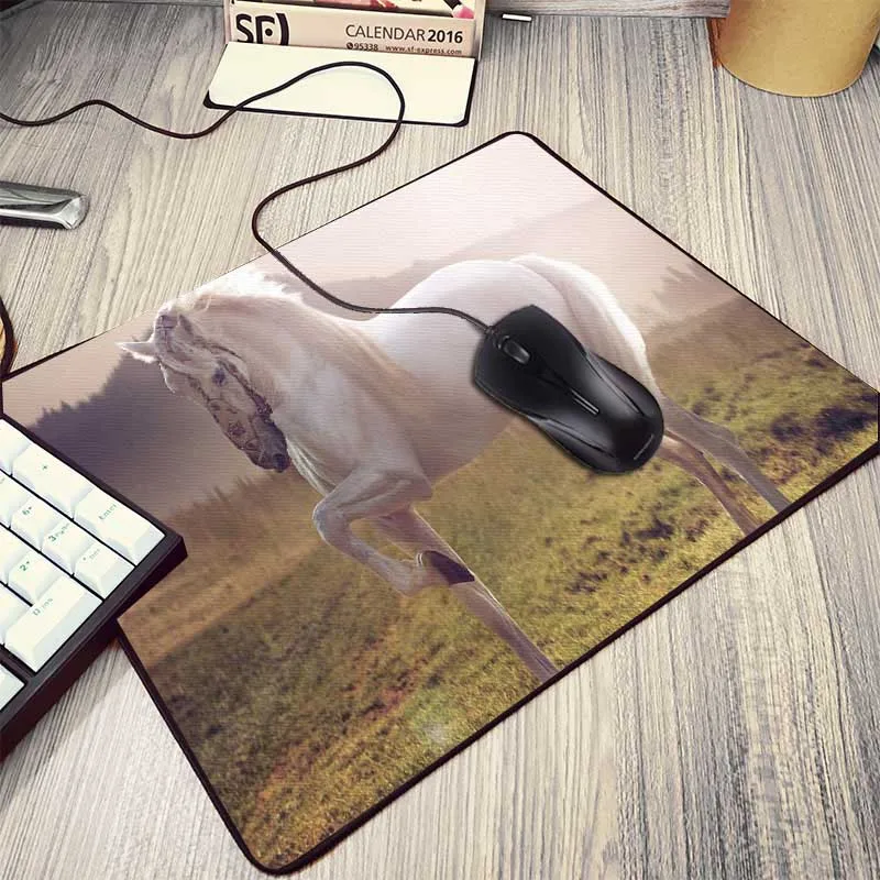 17animals-horse-cute-animal-pictures-christmas-1920x1080 (6)