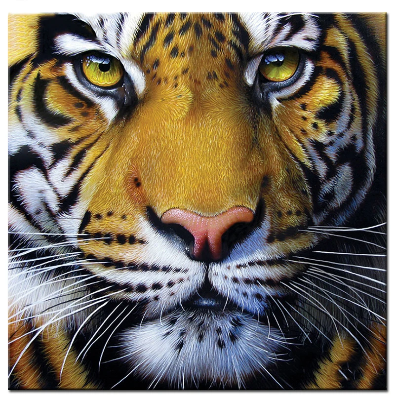 Aliexpress.com : Buy 100% Full 5D Diy Daimond Painting "Animal Tiger