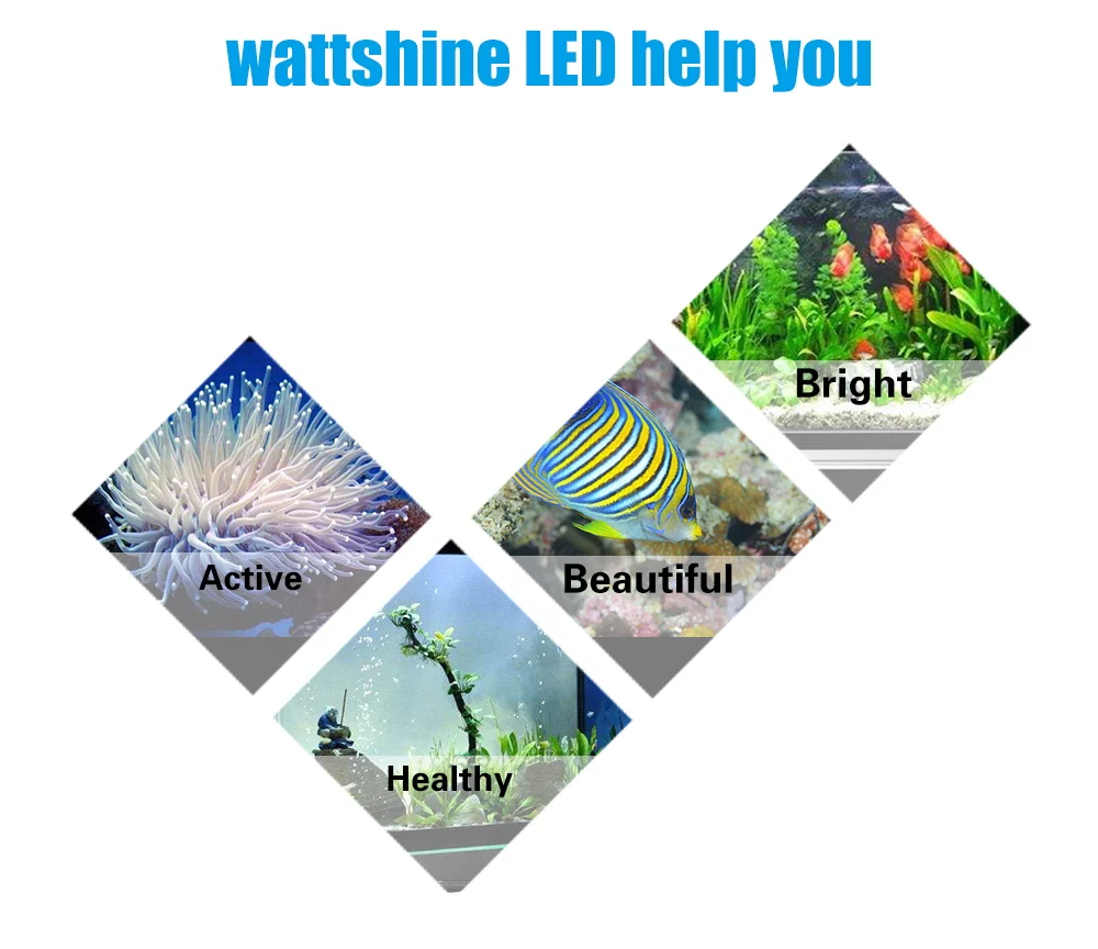 54W 36W Freshwater Saltwater aquarium lighting Marine Reef aquariums Fish tank lights Coral grow Aquatic plants E27 led light (11)