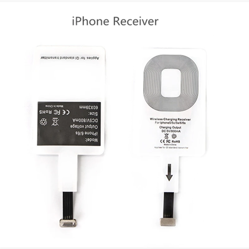 5265989142_1024397936_