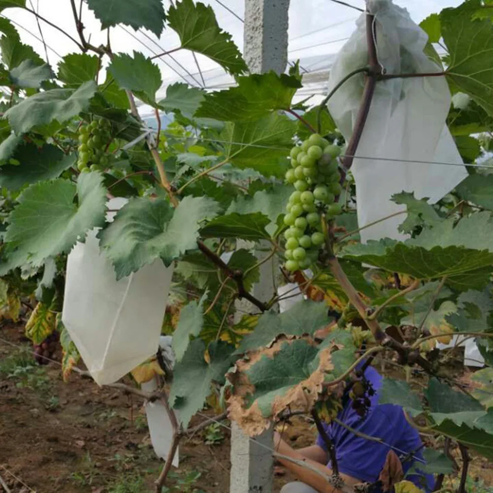50Pcs/Lot Garden Vegetable Grapes Apples Fruit Protection Bag Pouch Agricultural Pest Control Anti-Bird Mesh Bags