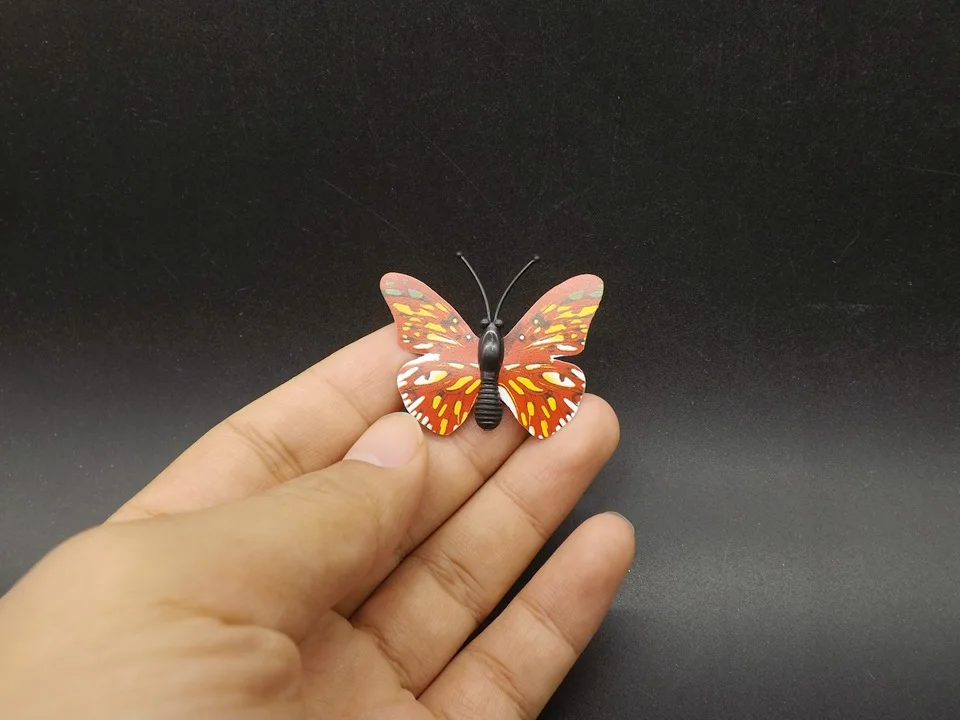 I255-Butterfly (1)