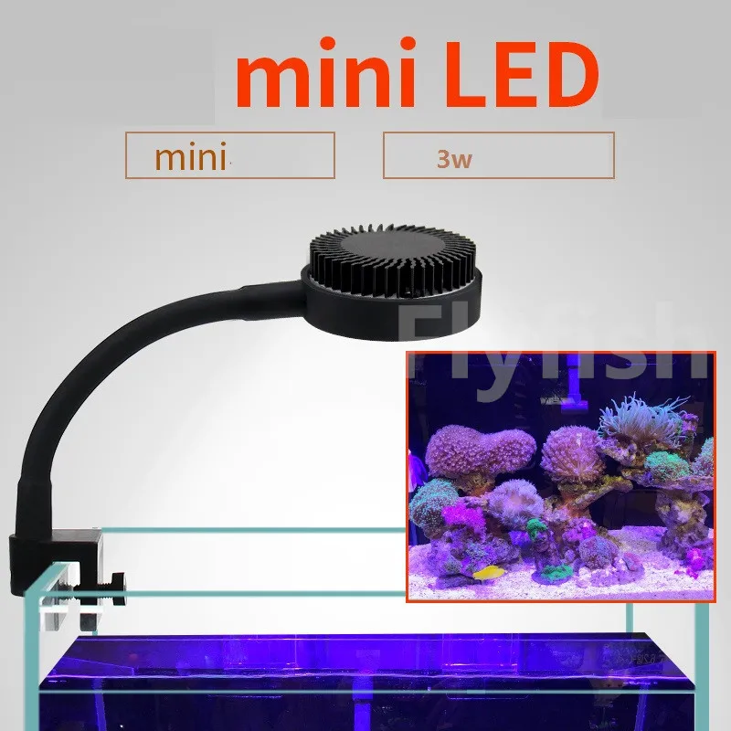 d&g dog tag necklace