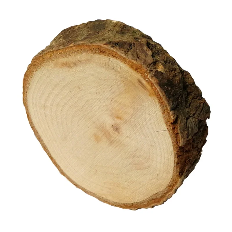 Candlestick Fleshy Plant Small Flower Pot Home Decoration Craft
Creative Tree Stool