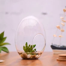 Стеклянный в виде яйца садовый декоративный цветочный горшок ваза-Террариум бутылка для ландшафтного дизайна подарок
