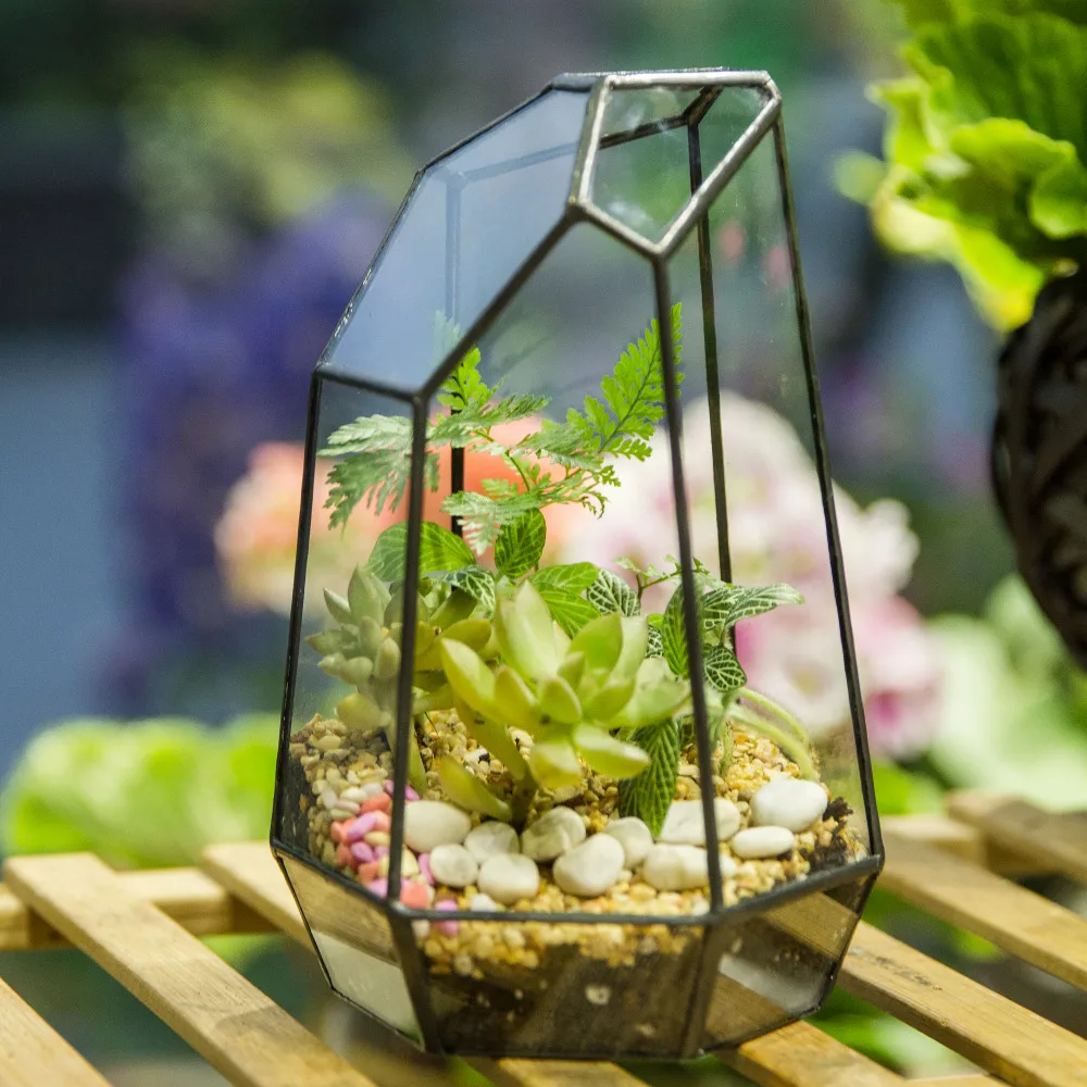 

Glass Terrarium Planter Garden Tabletop Miniature Irregular Geometric Glass Flower Pot for Succulents Moss Ferns Plant Terrarium
