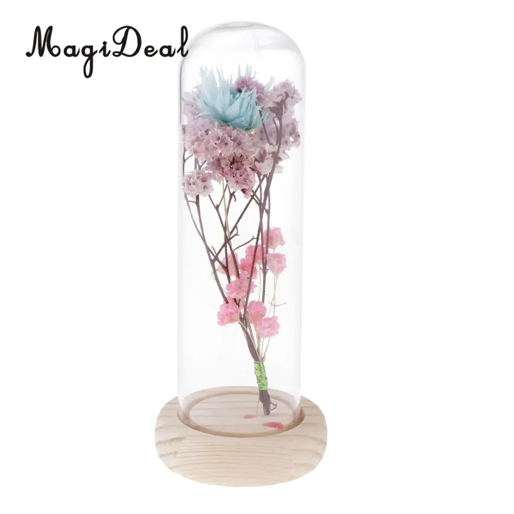 Clear Glass Display Cloche Bell Jar Dried Immortal Flower Preservation Vase Wooden Base Cafe Bar Countertop Decor Ornament