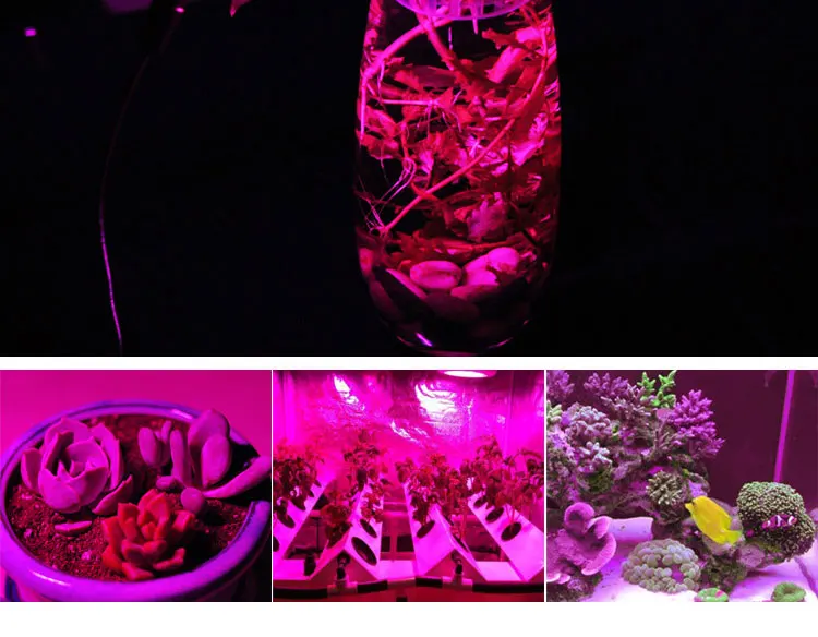 COB Чип светодиодный лампа для растений полный спектр 220 В 110 В 20 Вт 30 Вт 50 Вт для комнатных растений рост рассады и цветок роста освещение