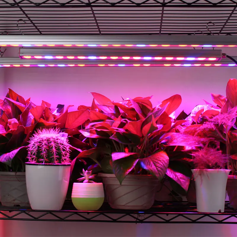 5pcs/lot 108W waterproof UV IR Led Grow Light Bar for greenhouse indoor