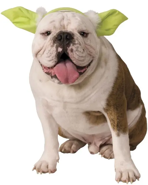 new star wars yoda dog headband costume pet halloween costume 2 size