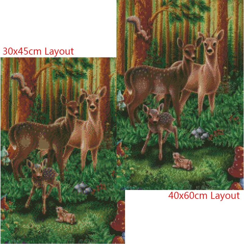DS260  20x30(1)
