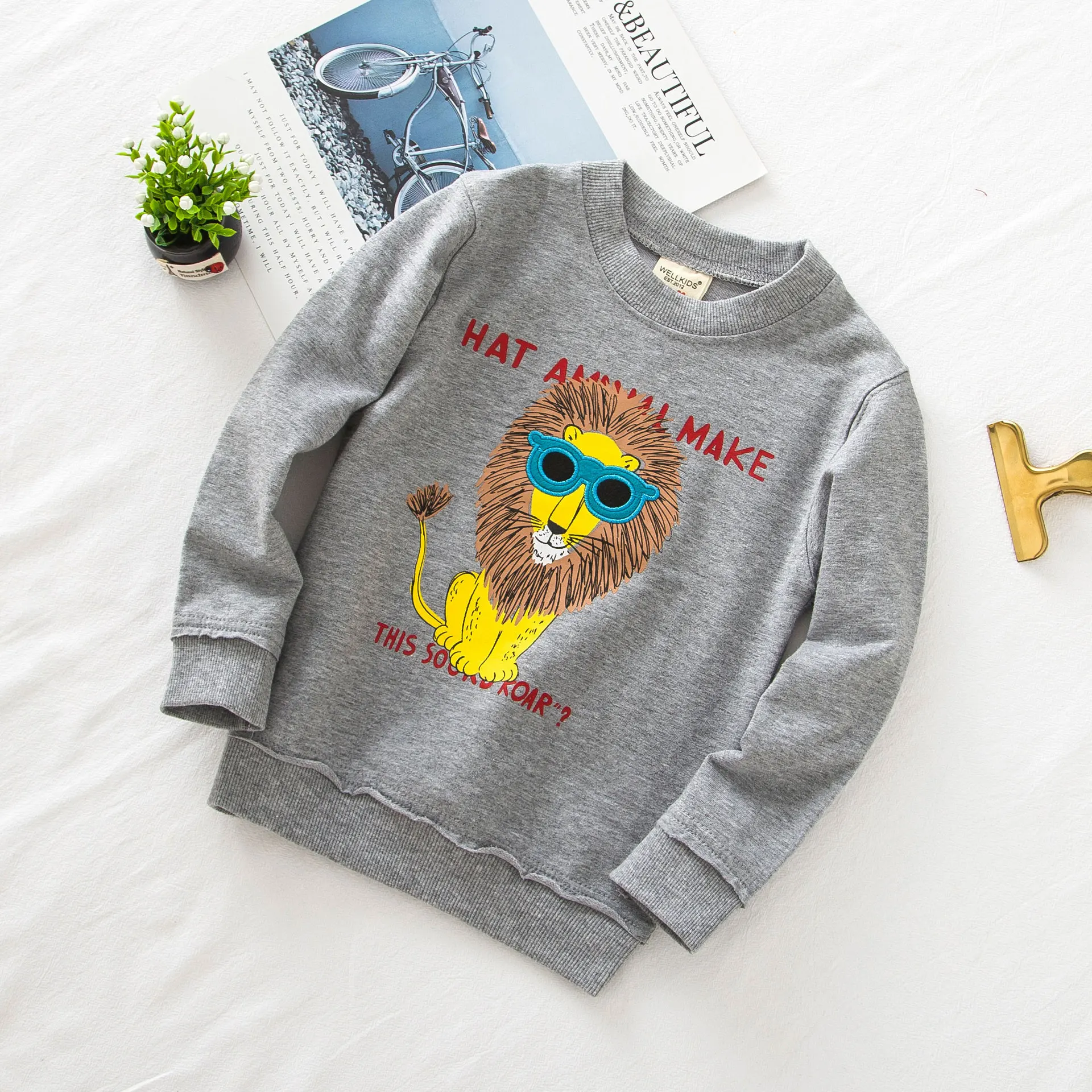 Свитера для мальчиков; хлопковый Повседневный детский осенний пуловер; толстовки для мальчиков; одежда с длинными рукавами для малышей; одежда с аппликацией льва; DC158