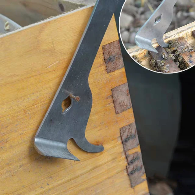 Méh Szerszámok Rozsdamentes Acél Hüvelykujj Típusú Méhkés Kaptár Kaparó Multifunkcionális Méhészet Méhkaparó Vágott Mézkés - Image 5