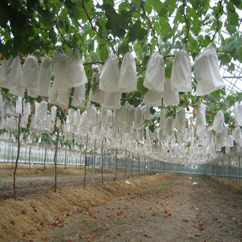 

50Pcs/Lot Plants Fruit Protection Bag Anti Bird Drawstring Net Bag Agriculture Pest Control Tool Prevent Fruit Tree Mosquitoes