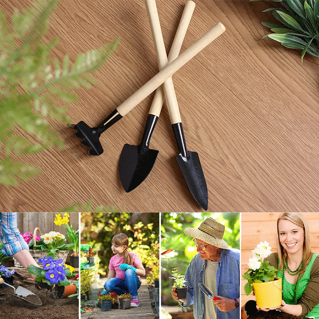 

Mini Garden 3 Piece Stainless Steel Garden Tool Set Wood Handle Shovel Trowel Great for pot plants and garden plants applying