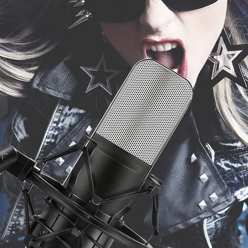 

Professional Condenser Microphone Studio Broadcasting Mic with Mount for PC Desktop Karaoke IJS998