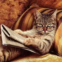 21095 Кот с очками-DIY Рисование по номерам