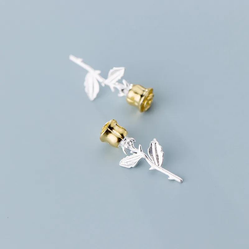 11229574095_210555885