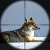 Тактический прицел AK47 AK74 AR15 2-7x20, прицел для охоты, прицел с мил-точечной подсветкой, прицел, прицел для охоты ► Фото 2/6