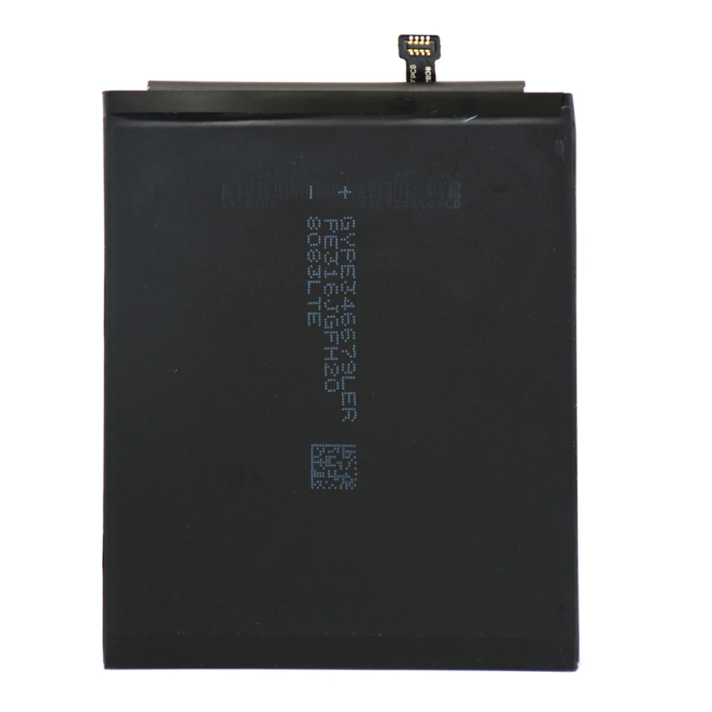 BN31 (2)