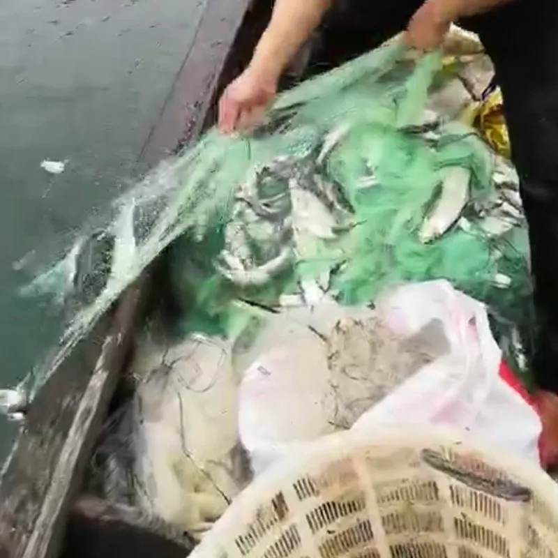 Rede de pesca