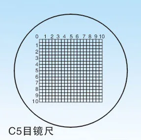 

AMDSP C5 DIV=0.5MM Microscope Stage Micrometer Glass Slide Scale Measuring Micrometer Calibration
