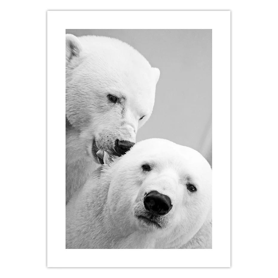 color_opt_2
