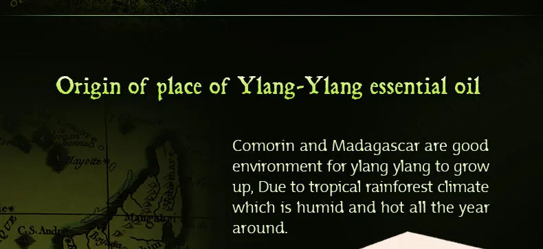 ylang-ylang_03
