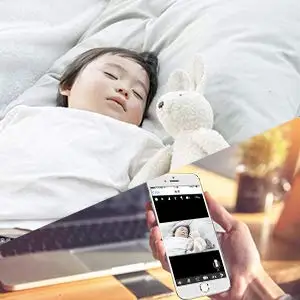  (1)
